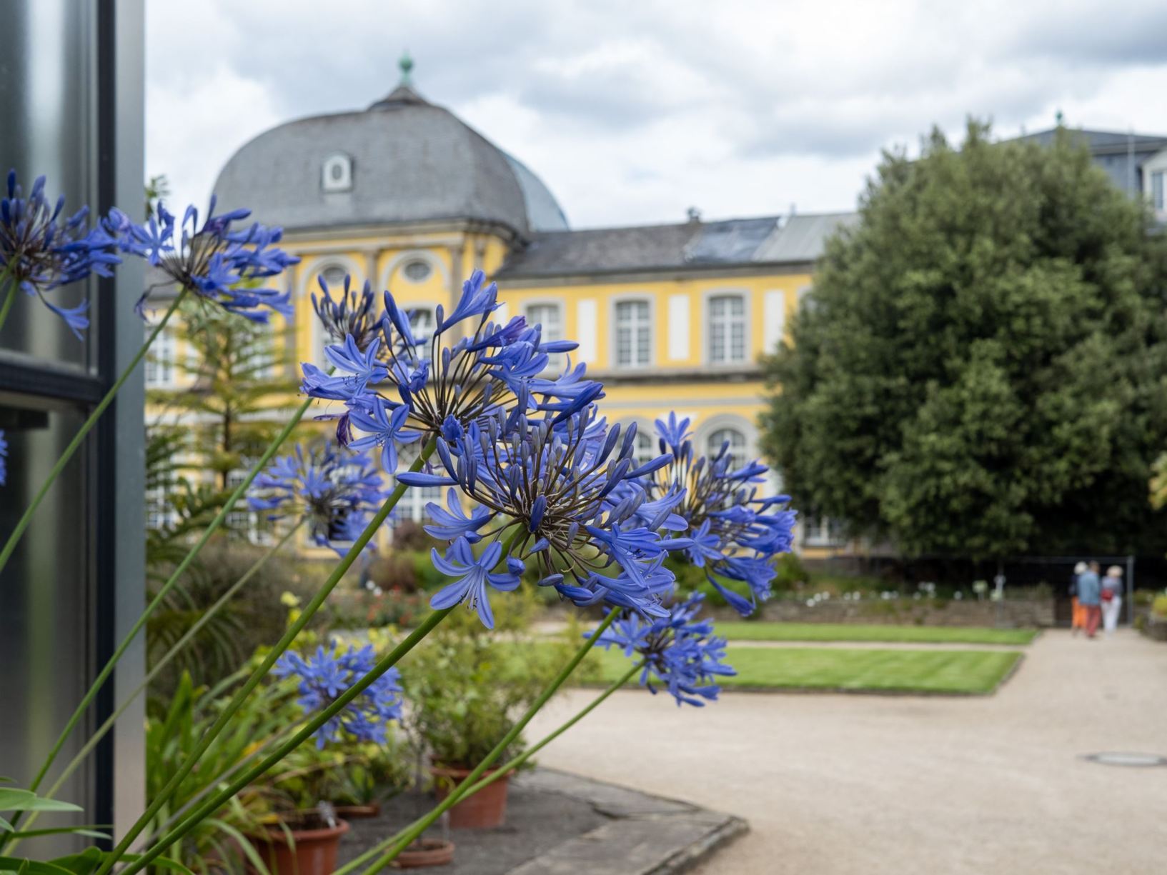 View from the Garden